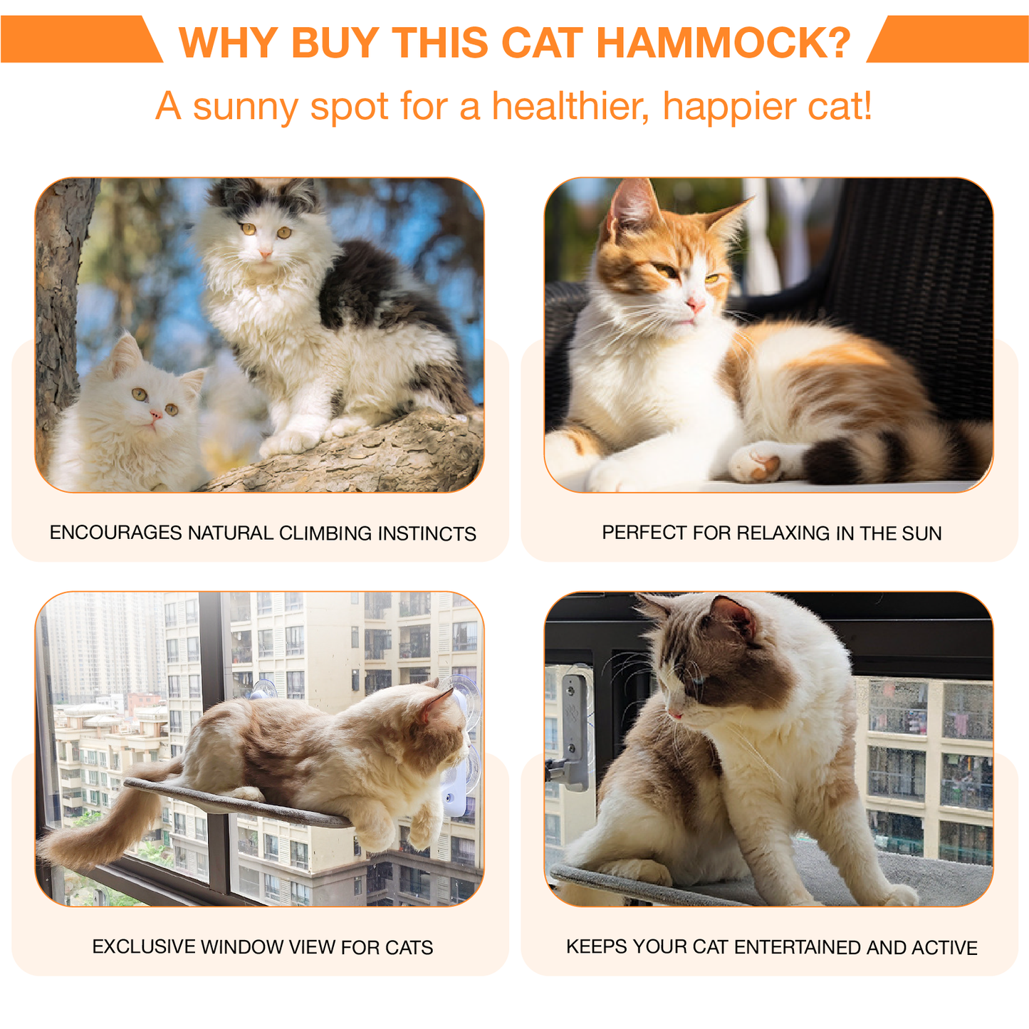 PCQ™ New Foldable Cat Hammock 2025